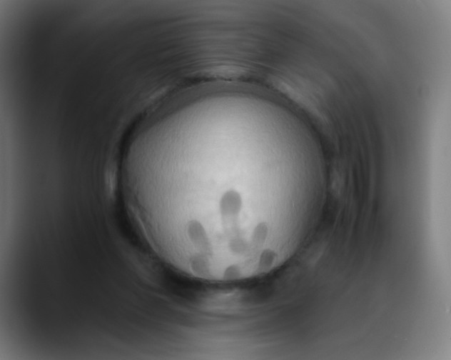 X0000089730206200707121455
