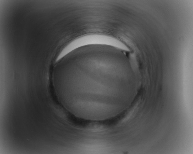 X0000089730207200707121455