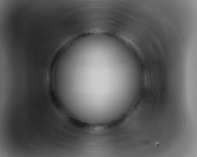 X0000089730208200707121455