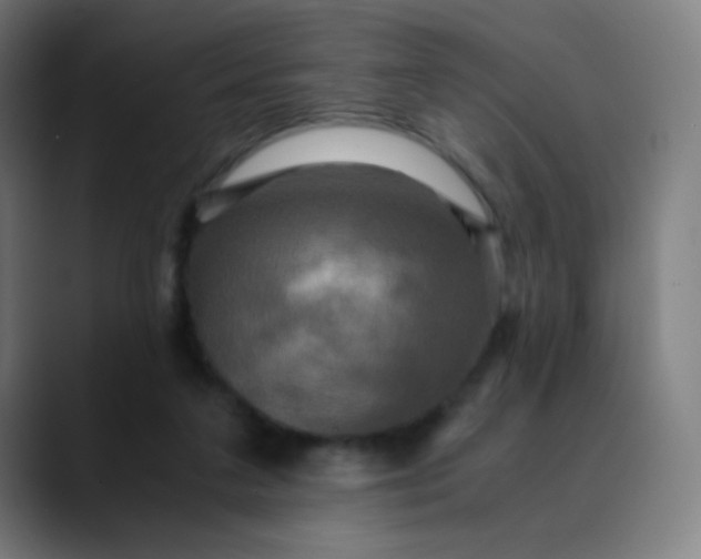 X0000089730211200707121455
