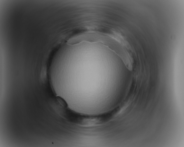 X0000089730213200707121455