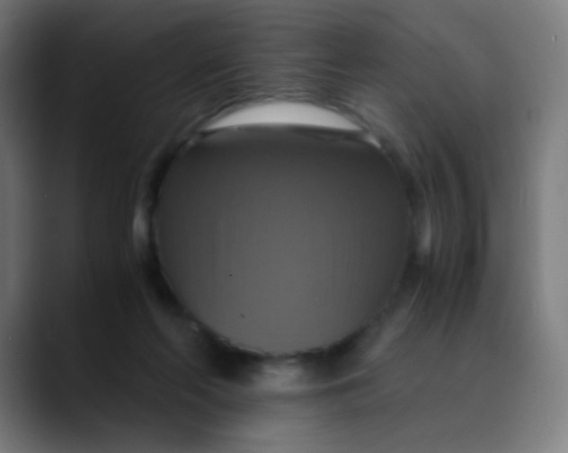 X0000089730214200707121455