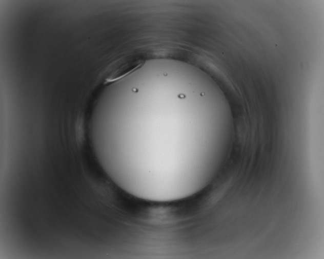 X0000089730216200707121455