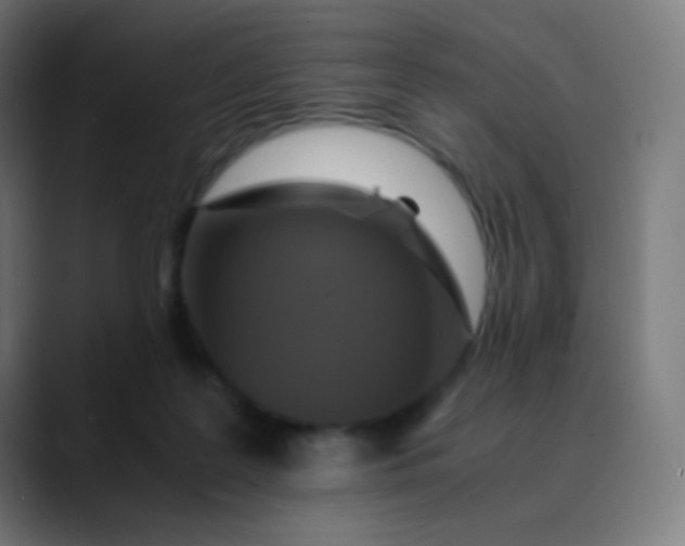 X0000089730219200707121455