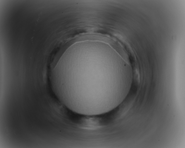X0000089730221200707121455
