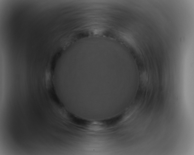 X0000089730222200707121455