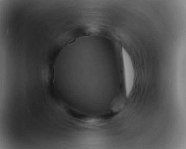 X0000089730223200707121455