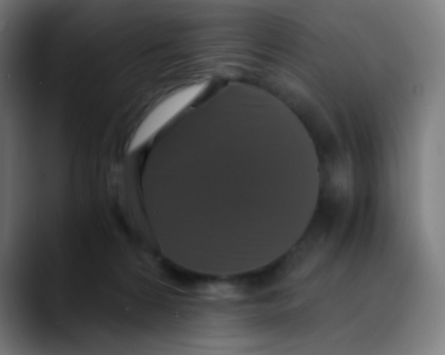 X0000089730224200707121455