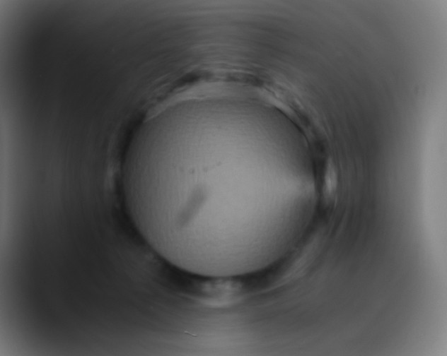 X0000089730225200707121455