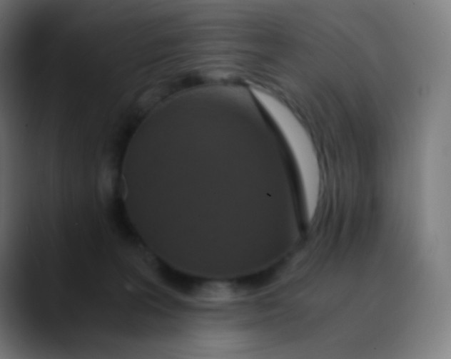 X0000089730227200707121455