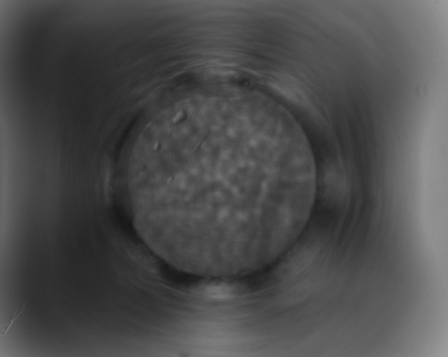 X0000089730228200707121455