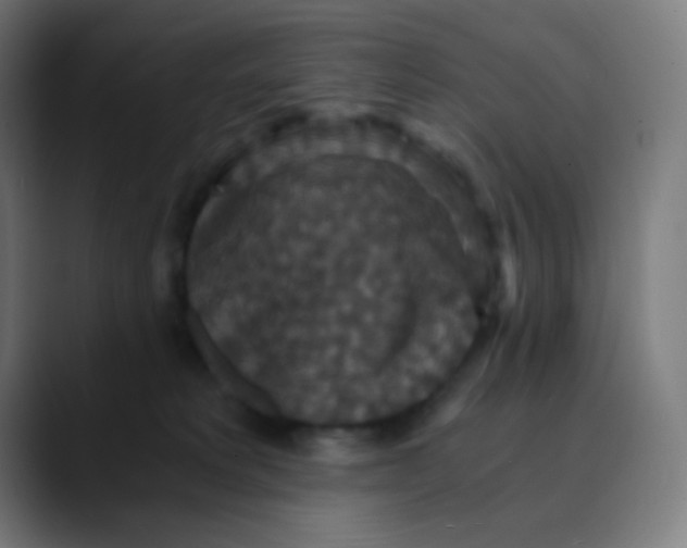X0000089730229200707121455