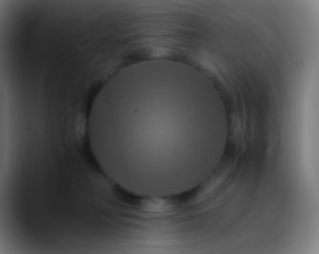 X0000089730230200707121455