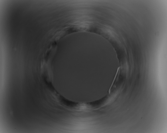 X0000089730231200707121455