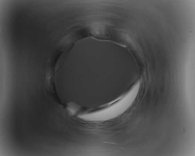 X0000089730233200707121455
