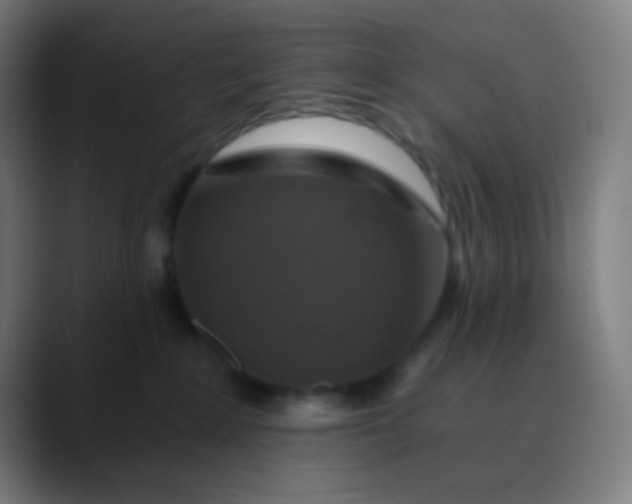X0000089730235200707121455