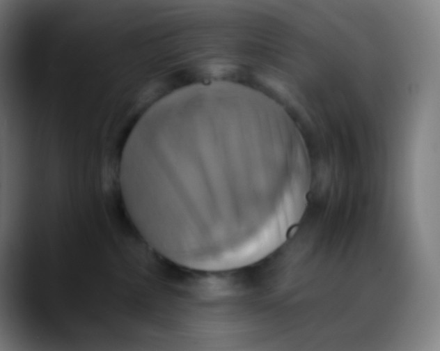 X0000089730236200707121455