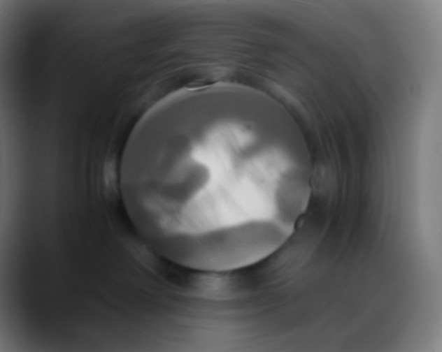 X0000089730238200707121455