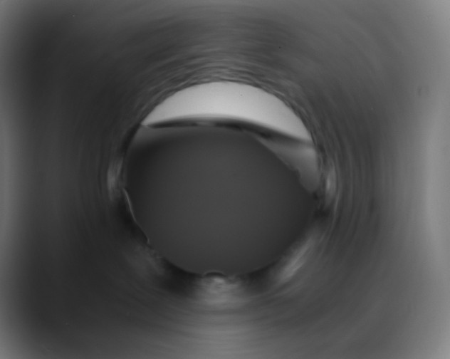 X0000089730239200707121455