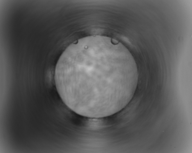 X0000089730240200707121455