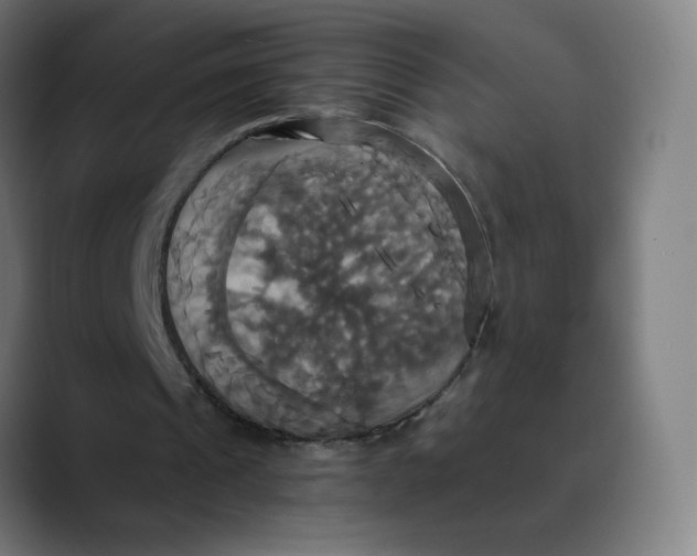 X0000089730241200707121454