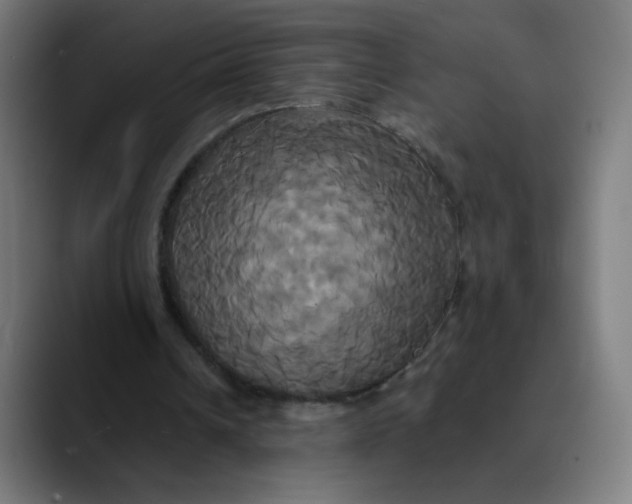 X0000089730242200707121454