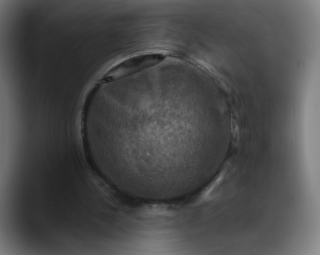 X0000089730244200707121454