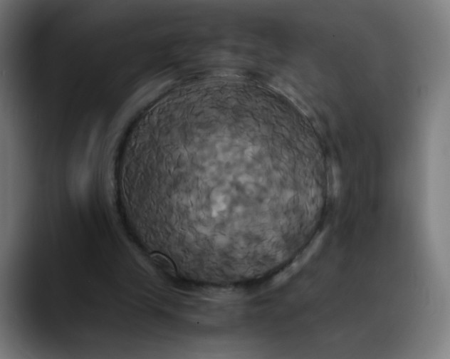 X0000089730245200707121454