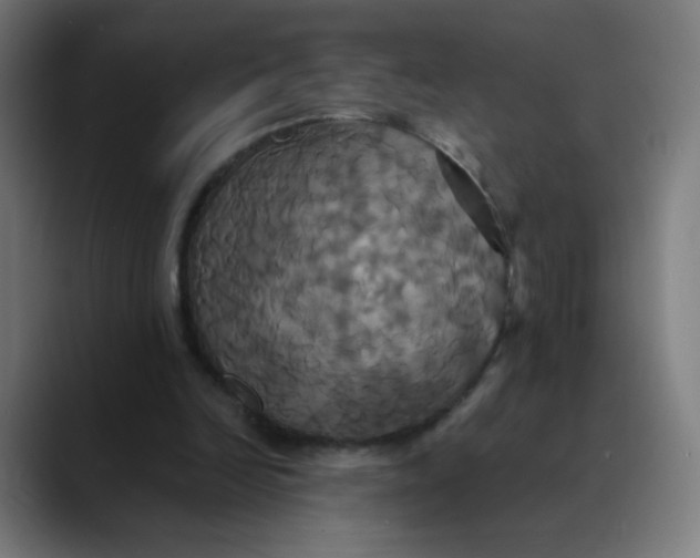 X0000089730246200707121454