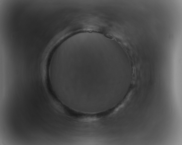 X0000089730247200707121454