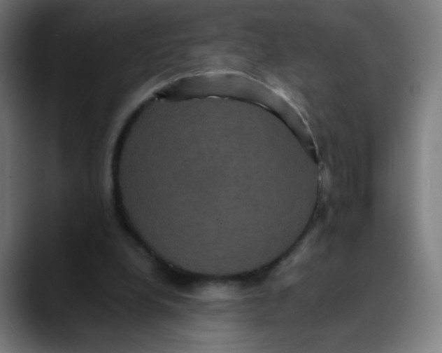 X0000089730248200707121454