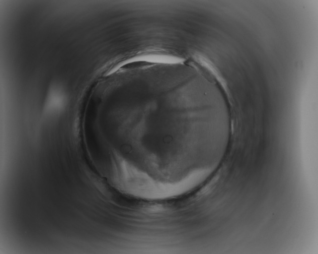 X0000089730249200707121454