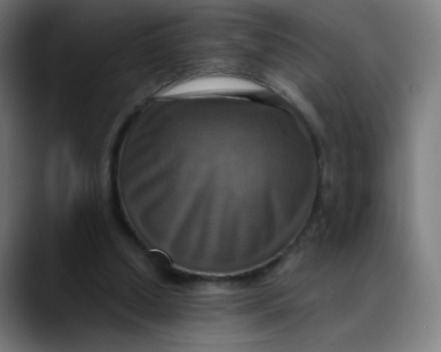 X0000089730250200707121454