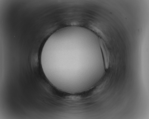 X0000089730251200707121454