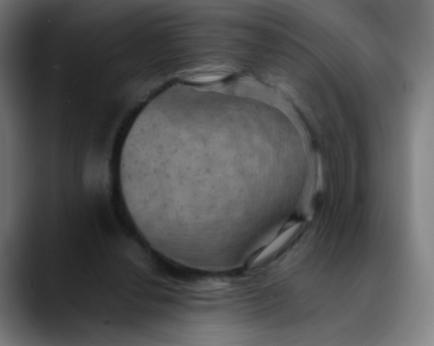 X0000089730252200707121454