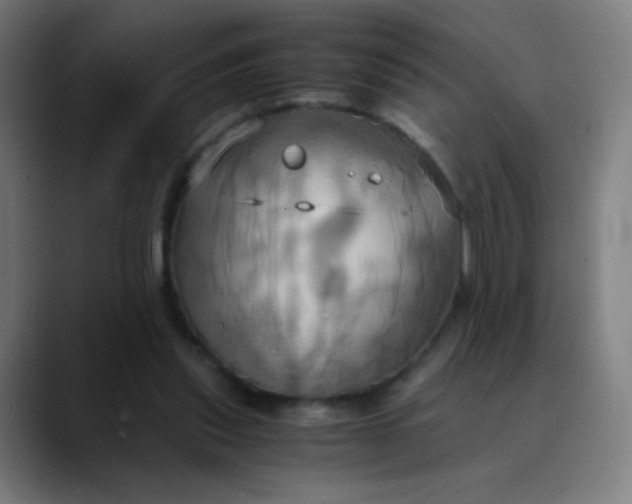 X0000089730253200707121454