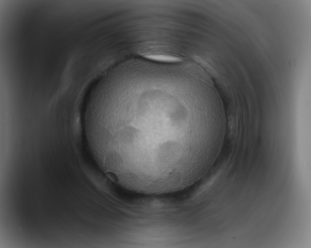 X0000089730254200707121454