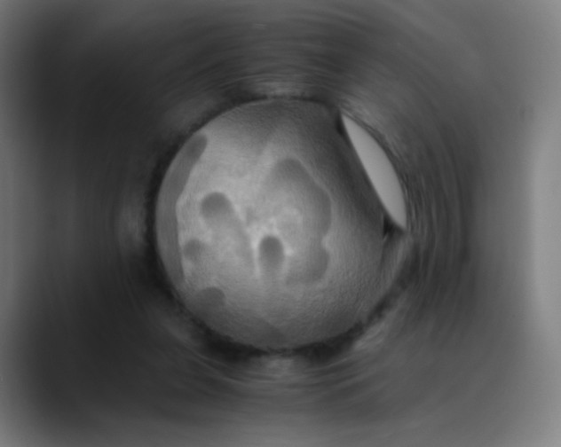 X0000089730255200707121454