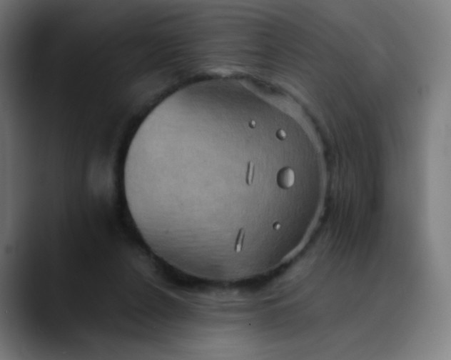 X0000089730256200707121454