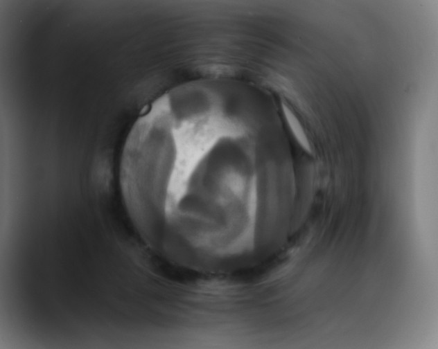 X0000089730259200707121454