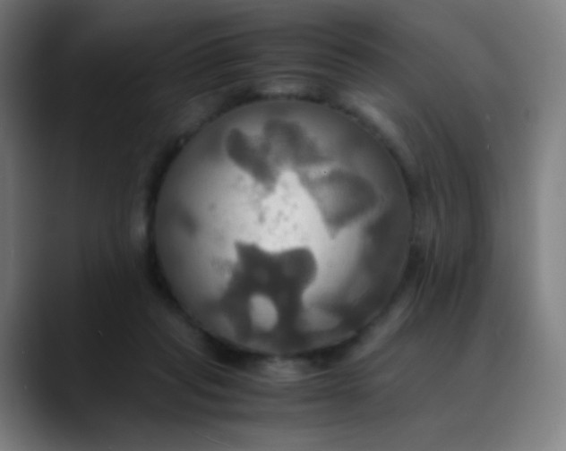 X0000089730261200707121454
