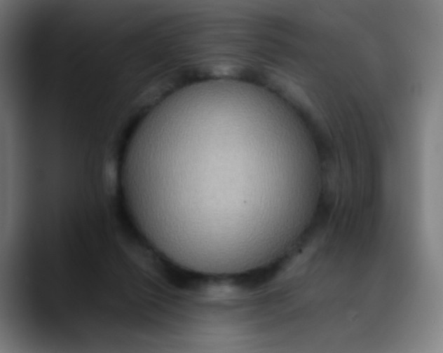 X0000089730262200707121454