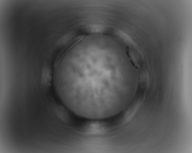 X0000089730264200707121454