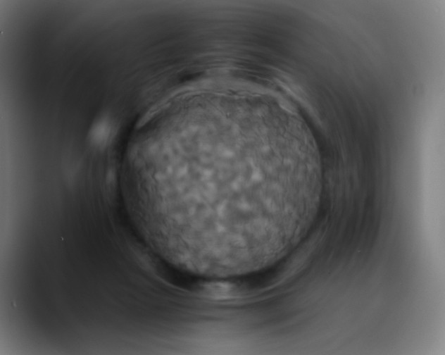 X0000089730265200707121454