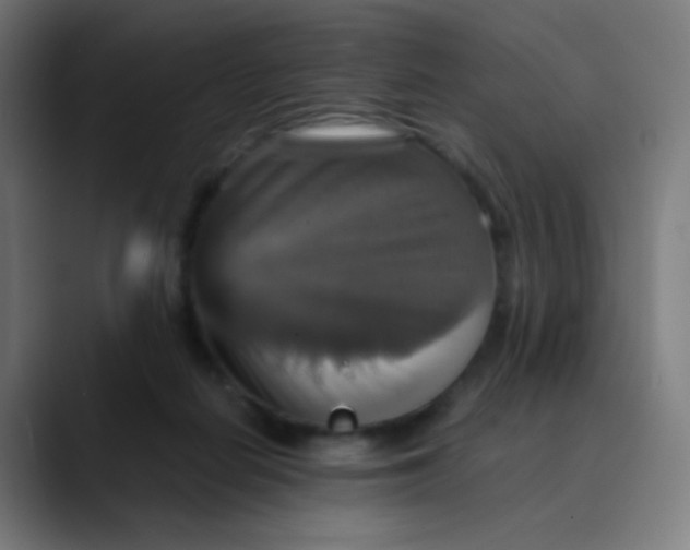 X0000089730266200707121454