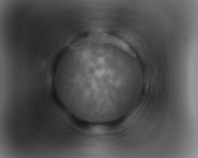 X0000089730268200707121454