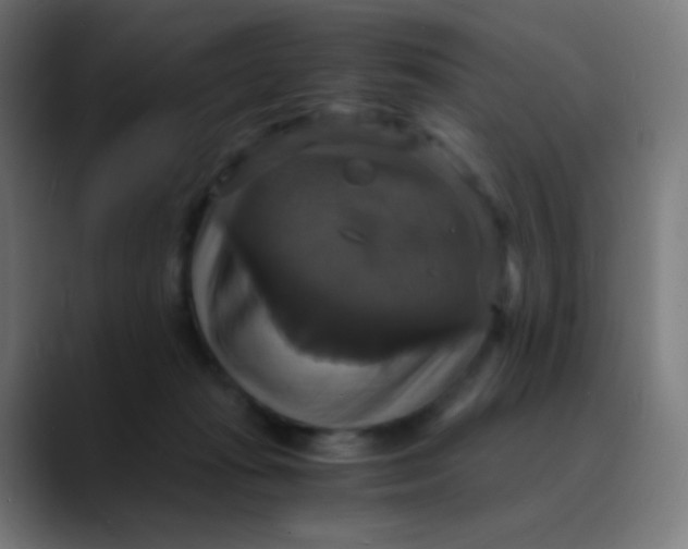 X0000089730269200707121454