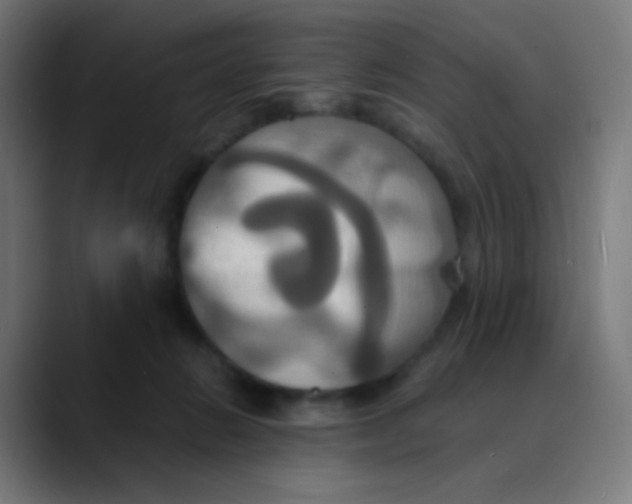 X0000089730270200707121454