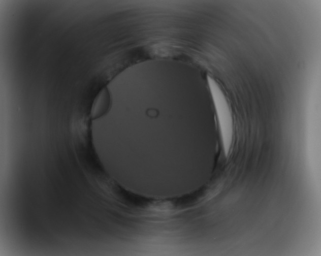 X0000089730271200707121454
