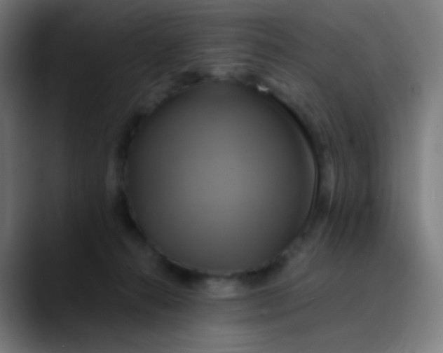 X0000089730272200707121454